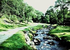 1970 UK Yorkshire Dales 013